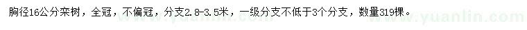 求購胸徑16公分欒樹