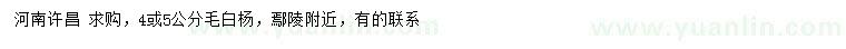 求購4-5公分毛白楊