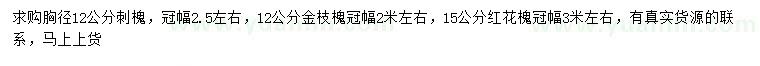 求購刺槐、金枝槐、紅花槐