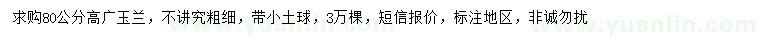 求購高80公分廣玉蘭