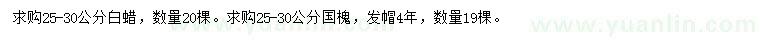 求購25-30公分白蠟、國槐