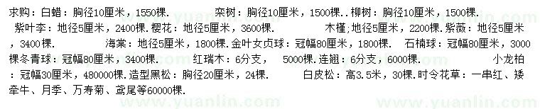 求購白蠟、欒樹、紫葉李等