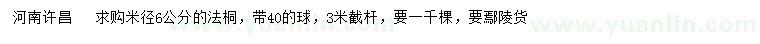 求購米徑6公分法桐