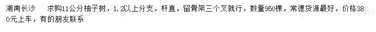 求購11公分柚子樹