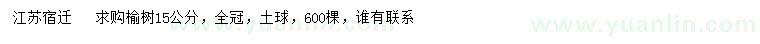 求購15公分榆樹