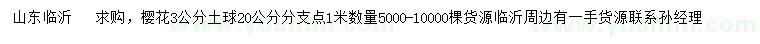 求購3公分櫻花