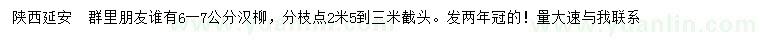 求購6-7公分漢柳