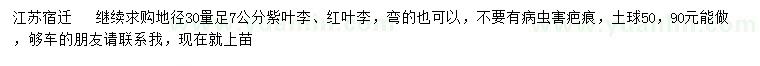 求購地徑30量足7公分紫葉李、紅葉李