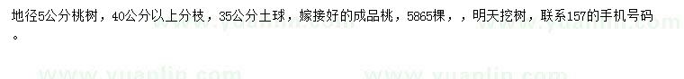 求購地徑5公分桃樹