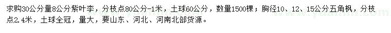 求購30公分量8公分紫葉李、胸徑10、12、15公分五角楓