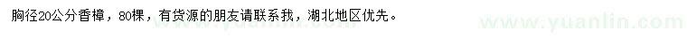 求購胸徑20公分香樟