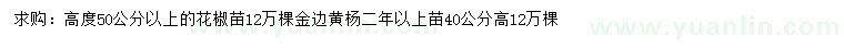 求購高50公分以上花椒苗