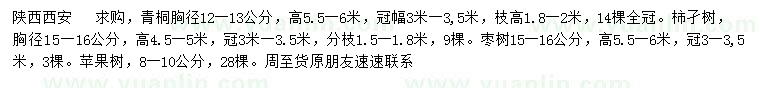 求購(gòu)青桐、柿子樹(shù)、棗樹(shù)等