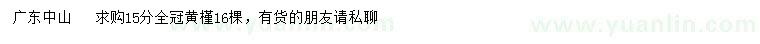 求購15公分黃槿