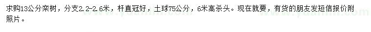 求購胸徑13公分欒樹