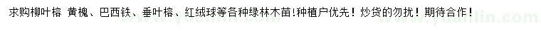 求購柳葉榕、黃槐、巴西鐵等