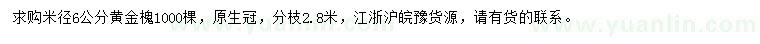 求購米徑6公分黃金槐