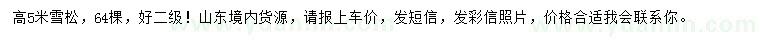 求購(gòu)高5米雪松