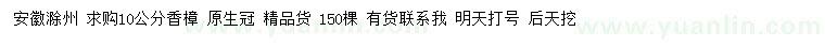 求購10公分香樟