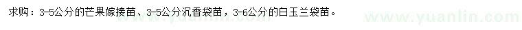求購芒果嫁接苗、沉香袋苗、白玉蘭袋苗