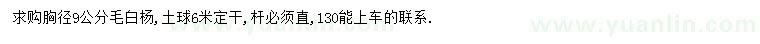 求購胸徑9公分毛白楊