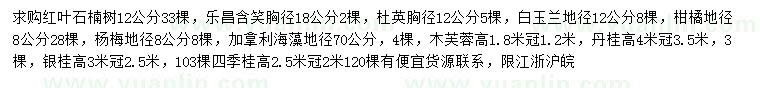 求購紅葉石楠樹、樂昌含笑、杜英等
