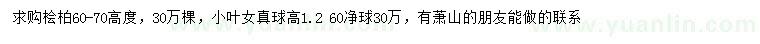 求購高60-70公分檜柏、1.2米小葉女貞球