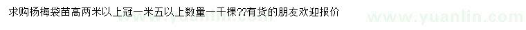 求購(gòu)高2米以上楊梅