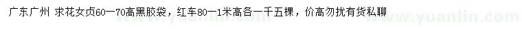 求購(gòu)高60-70公分花女貞、80-100公分紅車(chē)