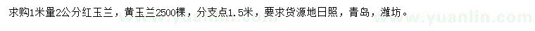 求購1米量2公分紅玉蘭、黃玉蘭