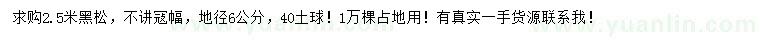 求購地徑6公分黑松