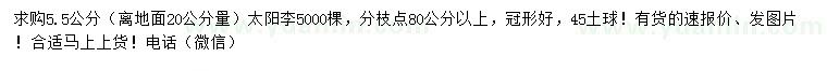 求購離地面20公分量5.5公分太陽李