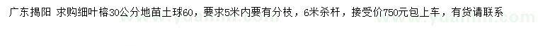 求購30公分細(xì)葉榕