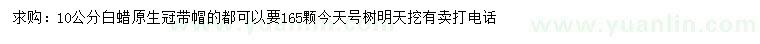求購10公分白蠟