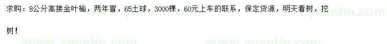求購(gòu)8公分高接金葉榆