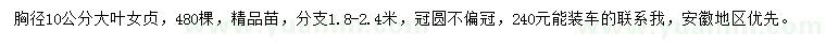 求購胸徑10公分大葉女貞