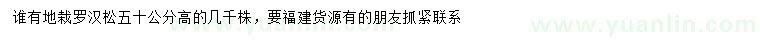 求購高50公分羅漢松