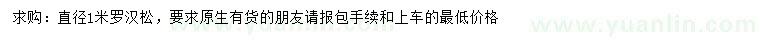 求購(gòu)直徑1米羅漢松