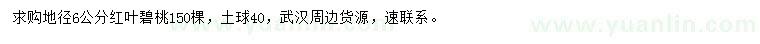 求購(gòu)地徑6公分紅葉碧桃