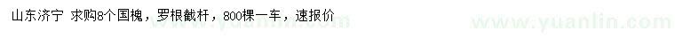 求購(gòu)8公分國(guó)槐