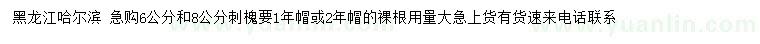 求購6、8公分刺槐