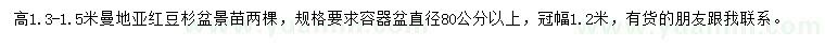 求購高1.3-1.5米曼地亞紅豆杉