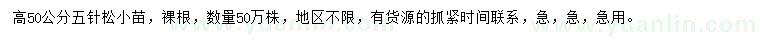 求購高50公分五針松小苗