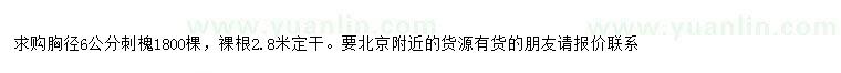 求購(gòu)胸徑6公分刺槐