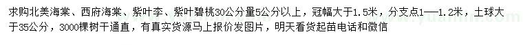 求購北美海棠、西府海棠、紫葉李等