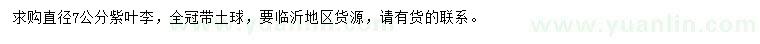 求購(gòu)直徑7公分紫葉李