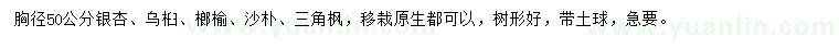 求購(gòu)銀杏、烏桕、榔榆等