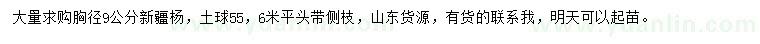 求購胸徑9公分新疆楊