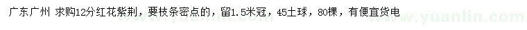求購12公分紅花紫荊