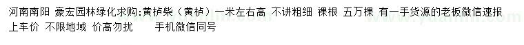 求購(gòu)高1米左右黃櫨柴（黃櫨）